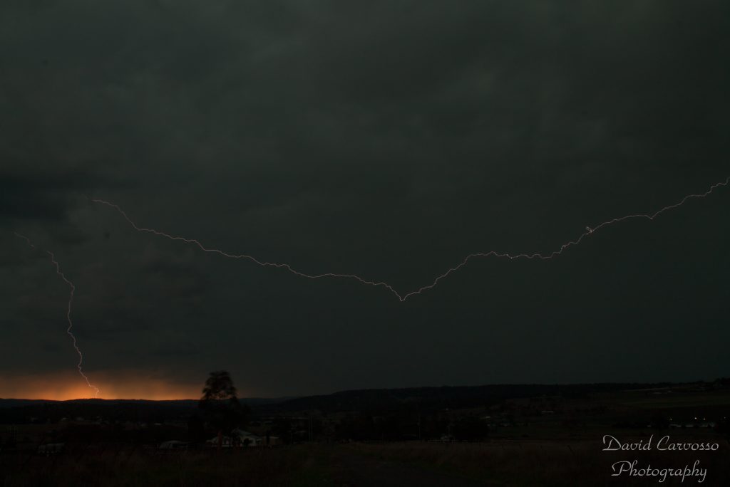 Snapped near Warwick on November 17. Photo: Contributed